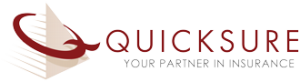 quicsure logo light with tagline 330